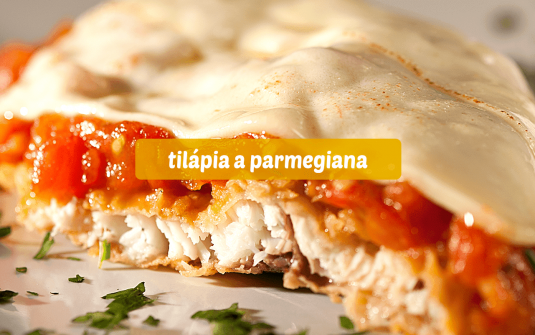 Imagem da Receita • (Tam. 1600x800px) Tilápia a Parmegiana